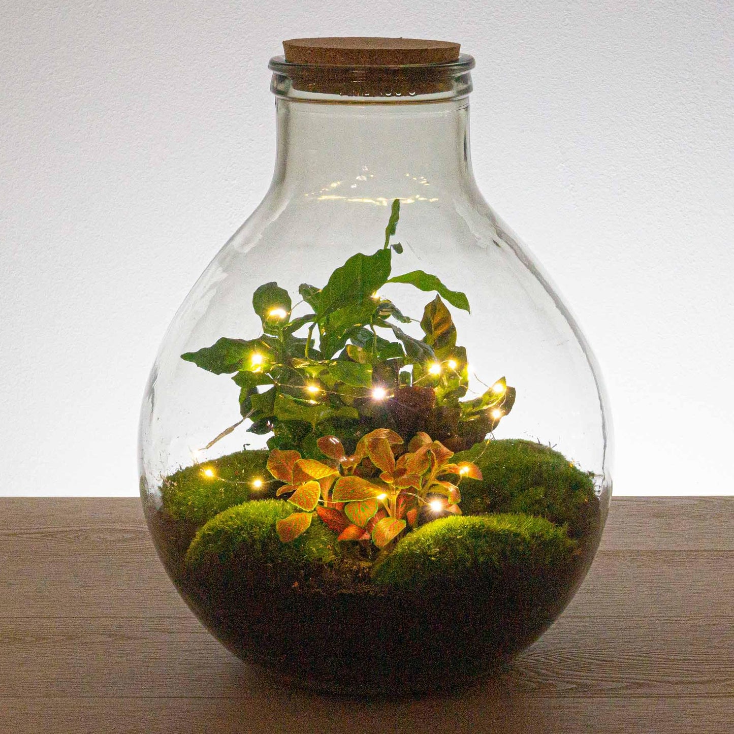 Drahtlichterkette mit Batterien – 1 Meter – warmweiß – 20 LEDs – Weihnachten