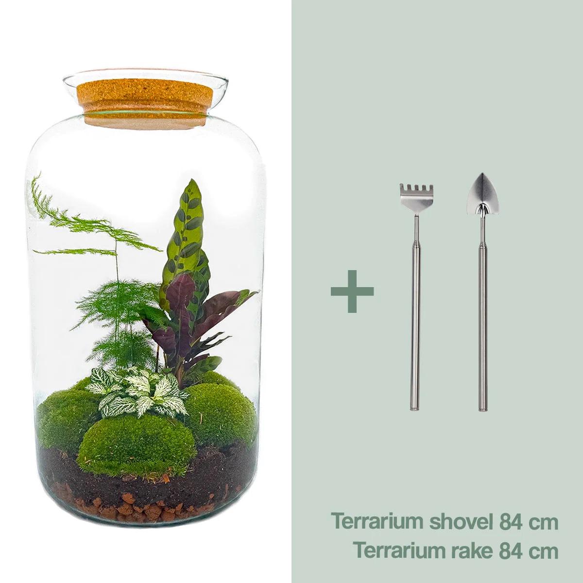 Flaschengarten – Botanical Sven XL – 43 cm – Rechen + Schaufel