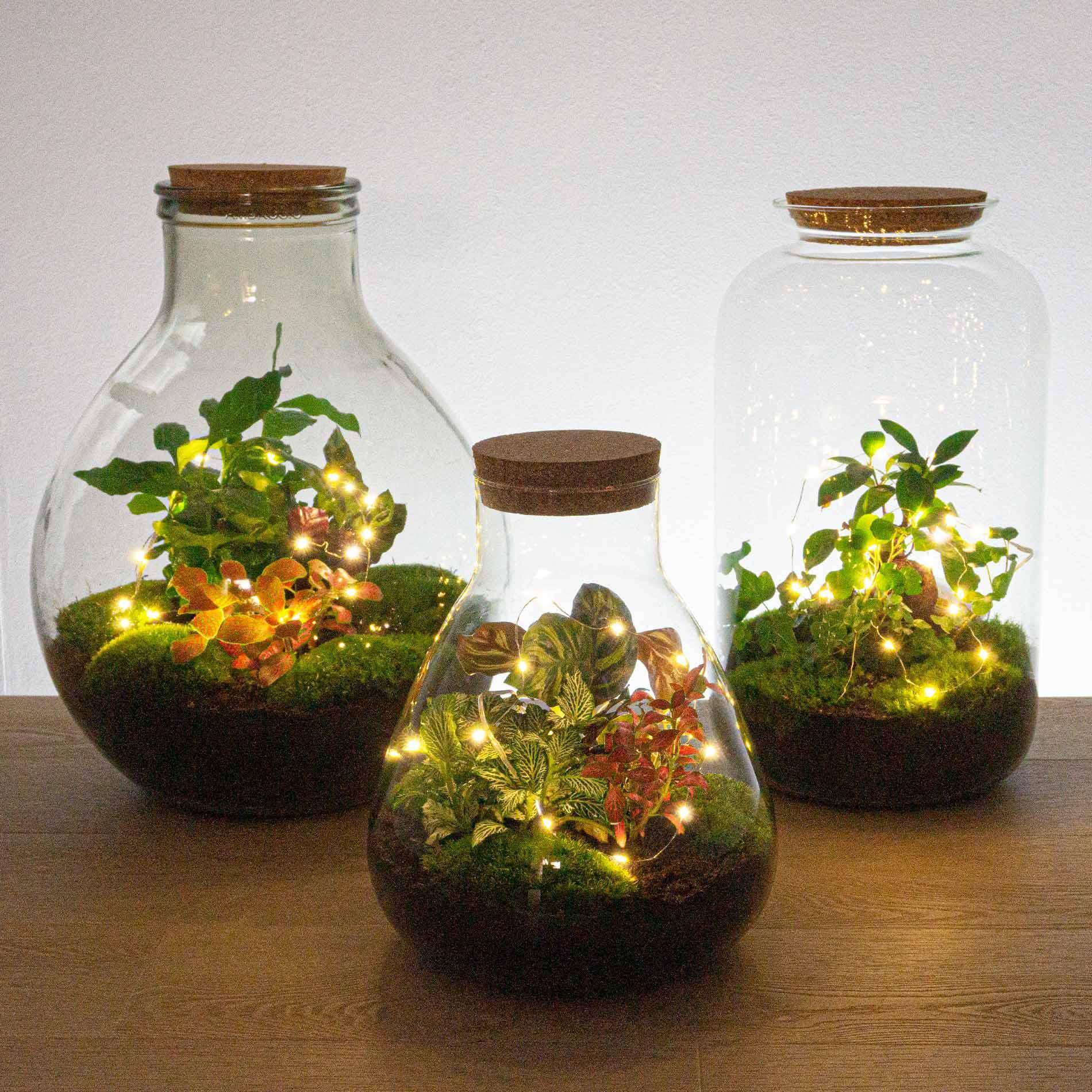 Drahtlichterkette mit Batterien – 1 Meter – warmweiß – 20 LEDs – Weihnachten - Botanic-Vibes