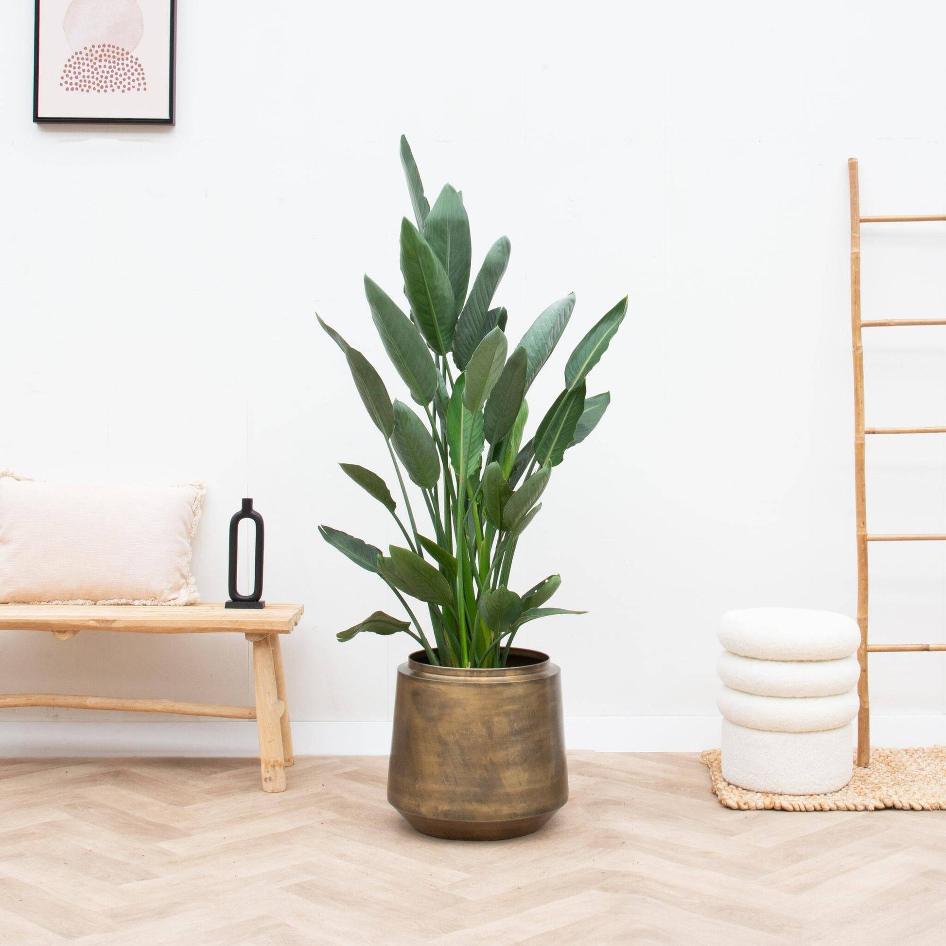 Topf Indigo Vintage Gold – D33 × H31 - Botanic-Vibes
