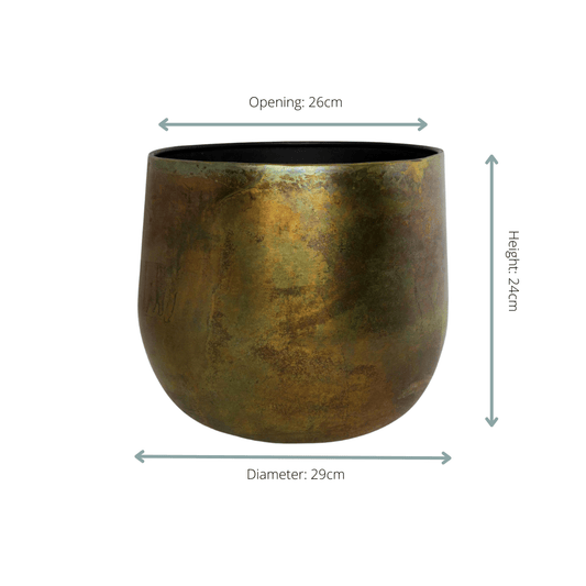 Pot Elisa Vintage Green - D29xH24 - Botanic-Vibes
