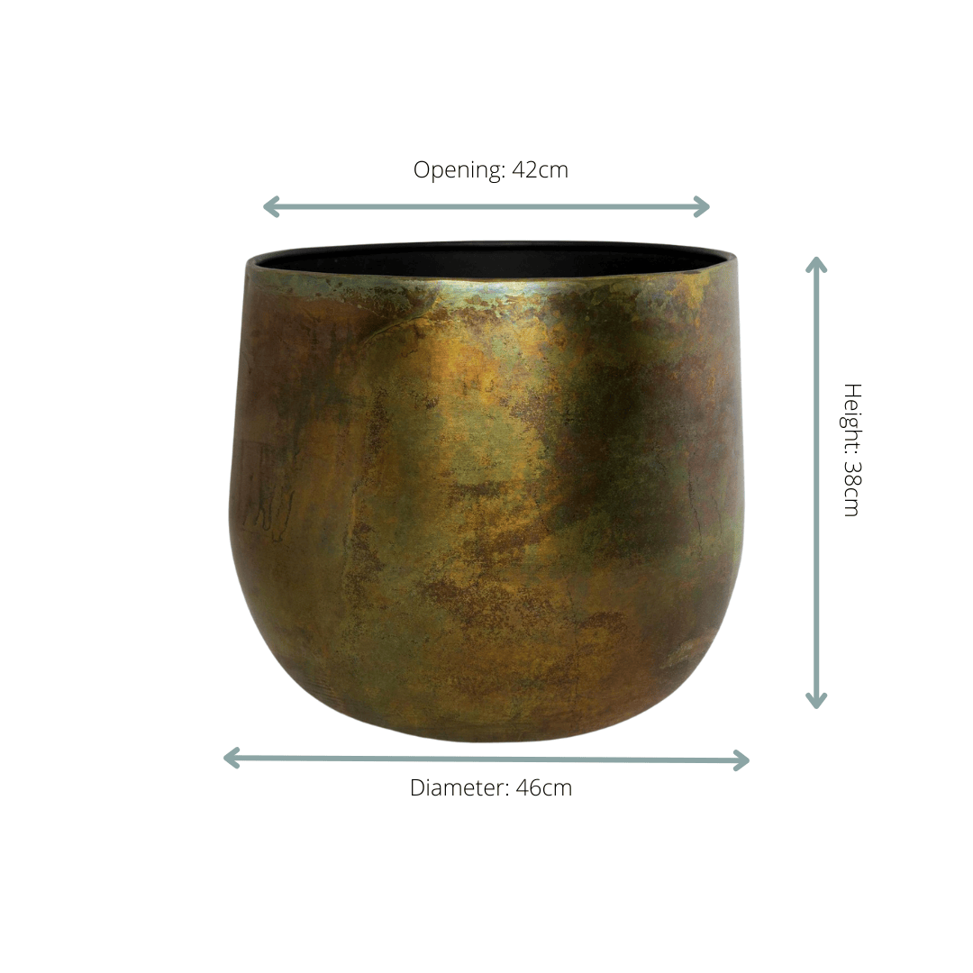 Pot Elisa Vintage Green - D46xH38 - Botanic-Vibes