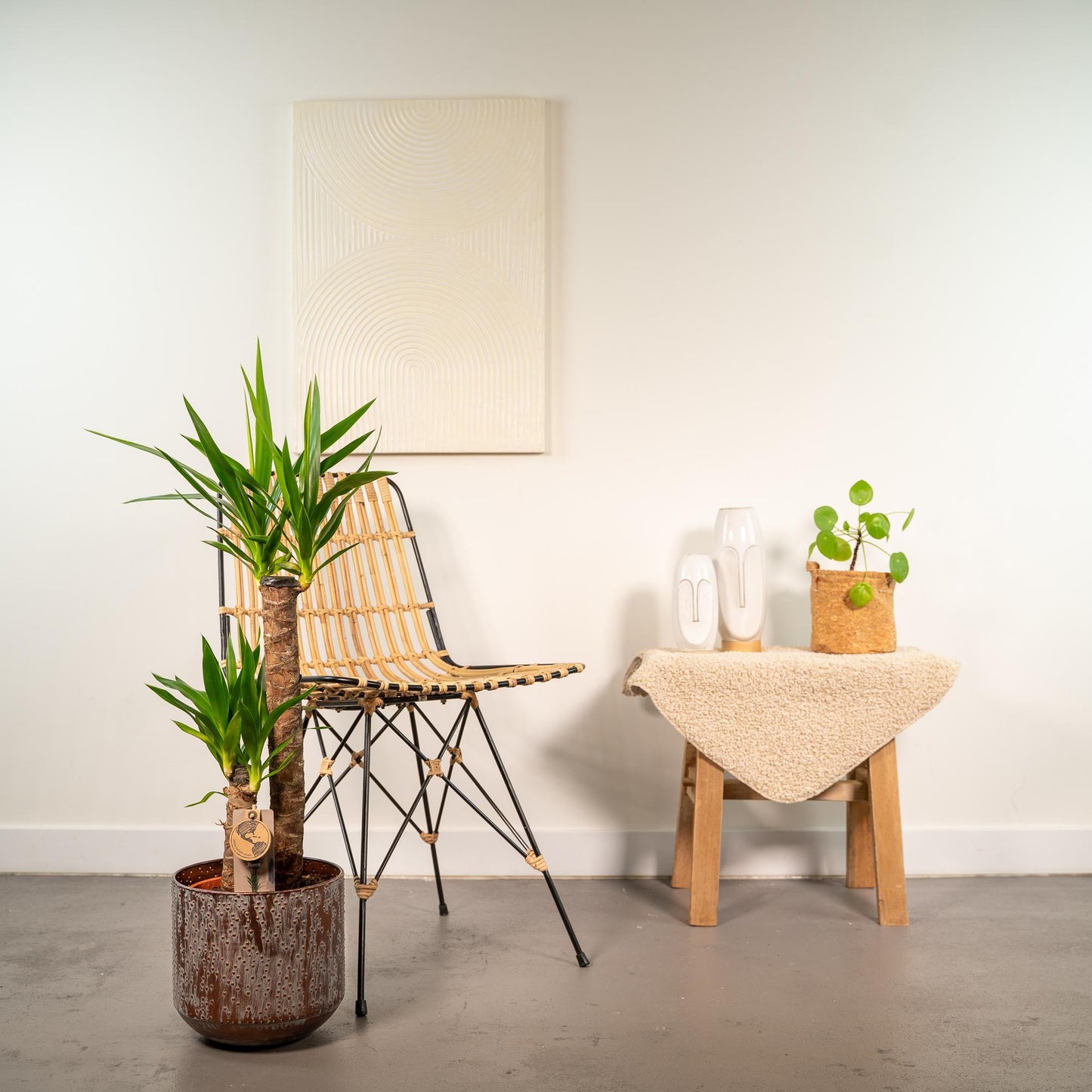 Yucca mit Topf – 100cm – Ø21cm