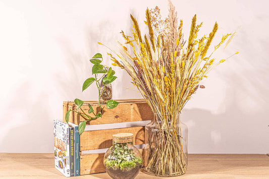 Trockenblumenstrauß – Yellow XL – Trockenstrauß – 70 cm - Botanic-Vibes