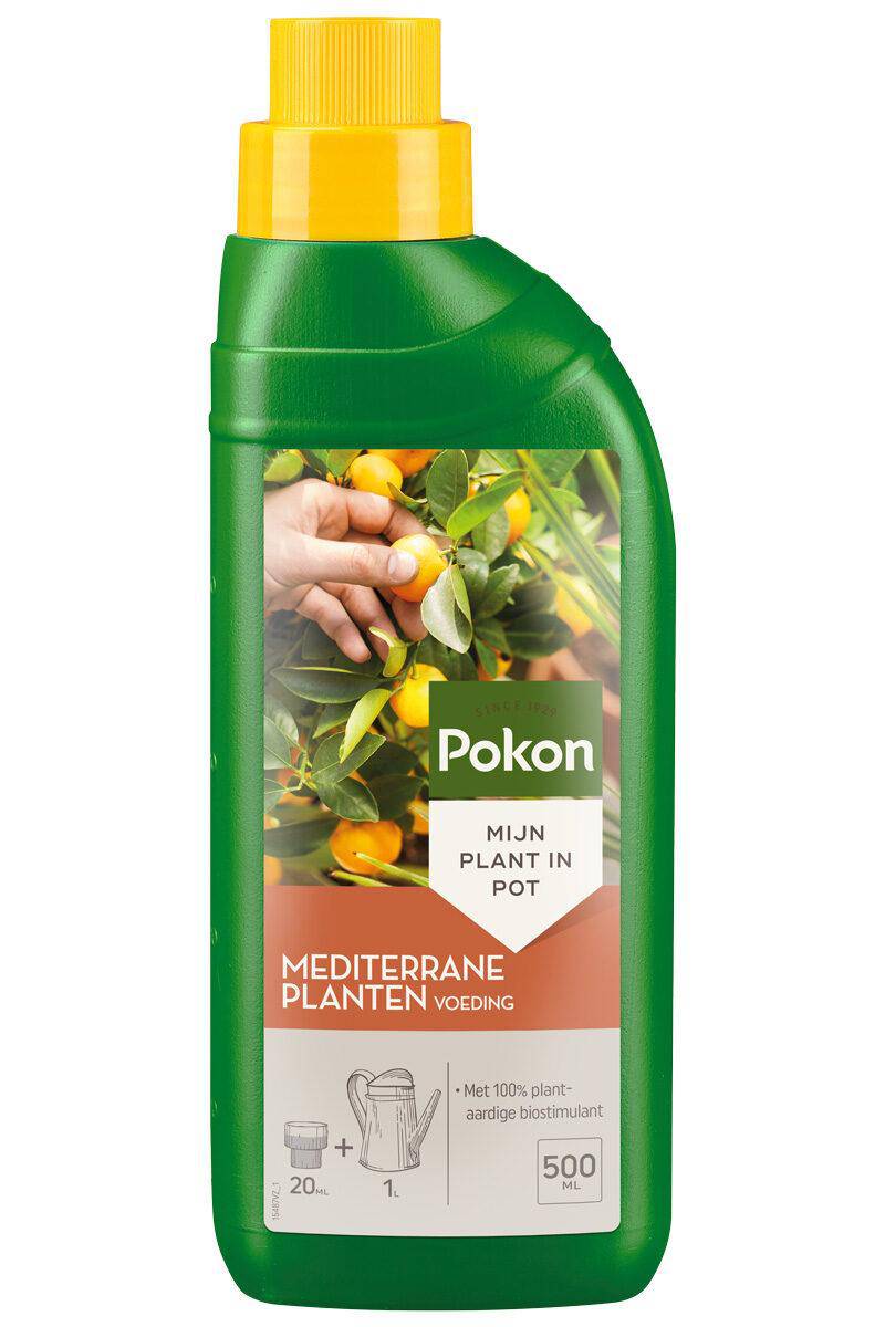 Pokon Dünger für mediterrane Pflanzen – 500 ml - Botanic-Vibes