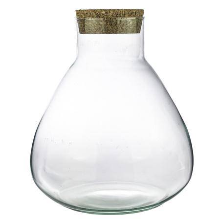 Terrariumflasche – modell: sammie – geschlossenes terrarium – 26,5 cm - Botanic-Vibes
