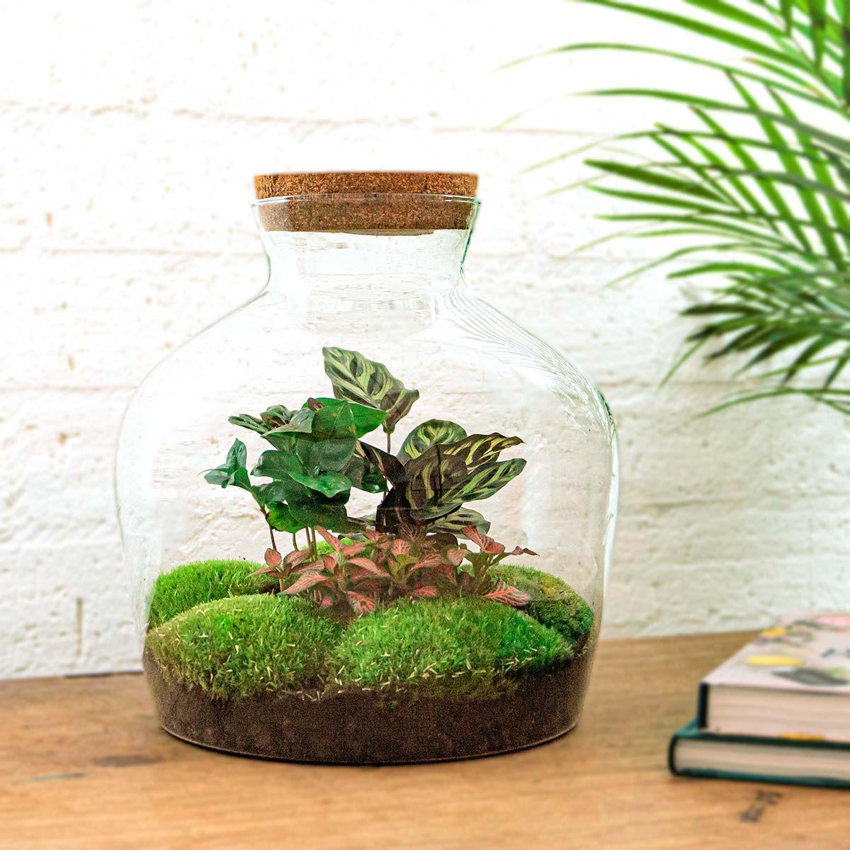 Flaschengarten – Fat Joe Coffea – 30 cm – Rechen + Schaufel