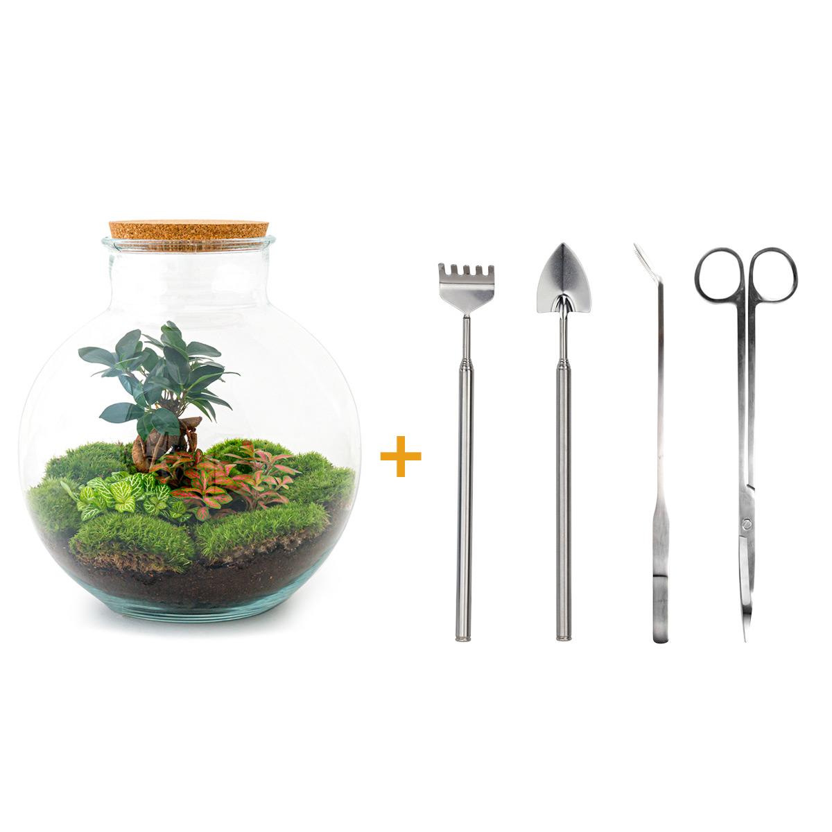 Flaschengarten – Bolder Bob Bonsai – 30 cm – Rechen + Schaufel + Pinzette + Schere
