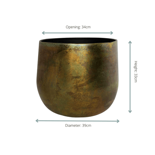 Pot Elisa Vintage Green - D39xH33 - Botanic-Vibes