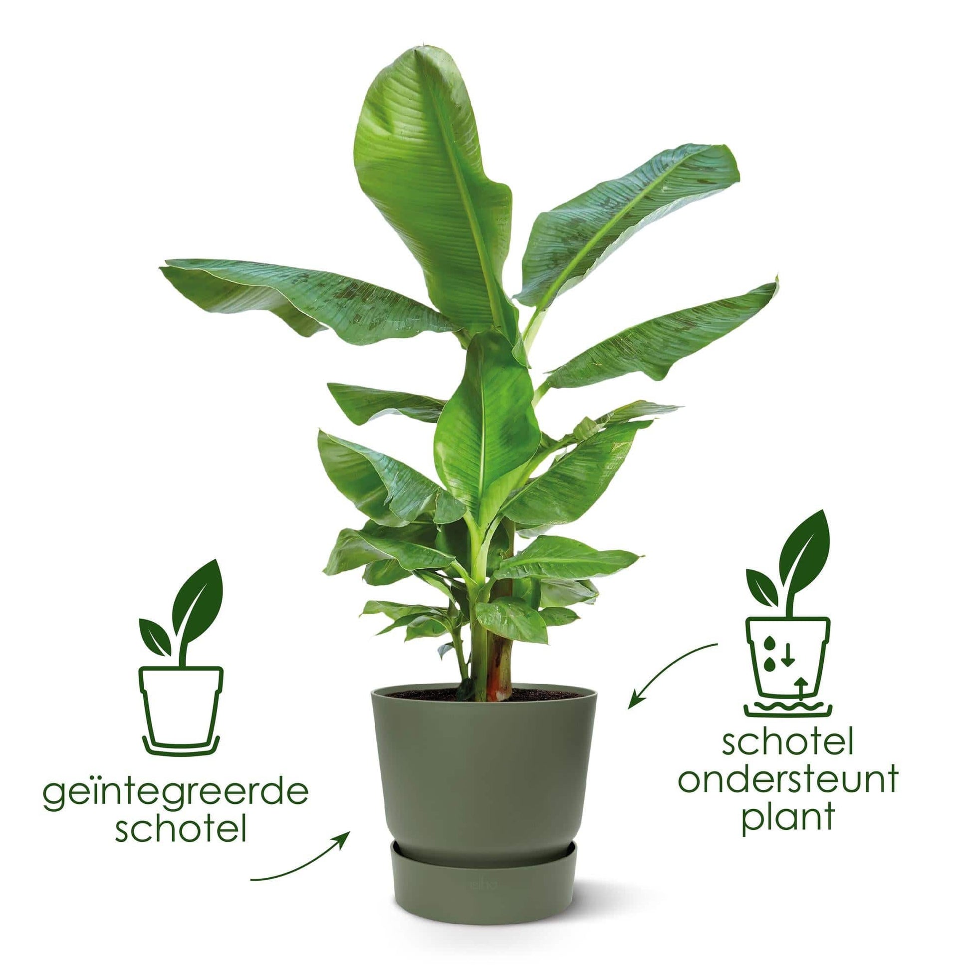 Topf elho Greenville Round Grün – D24 × H23 - Botanic-Vibes