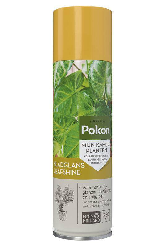 Pokon Blattglanz – 250 ml - Botanic-Vibes
