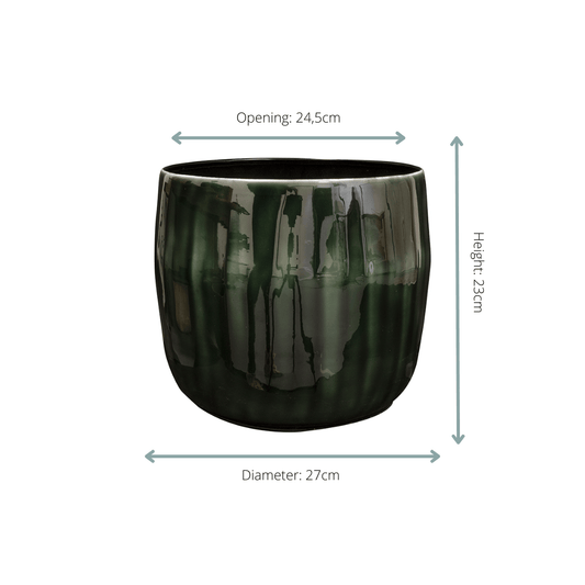 Pot Babet Pine - D27 x H23 - Botanic-Vibes
