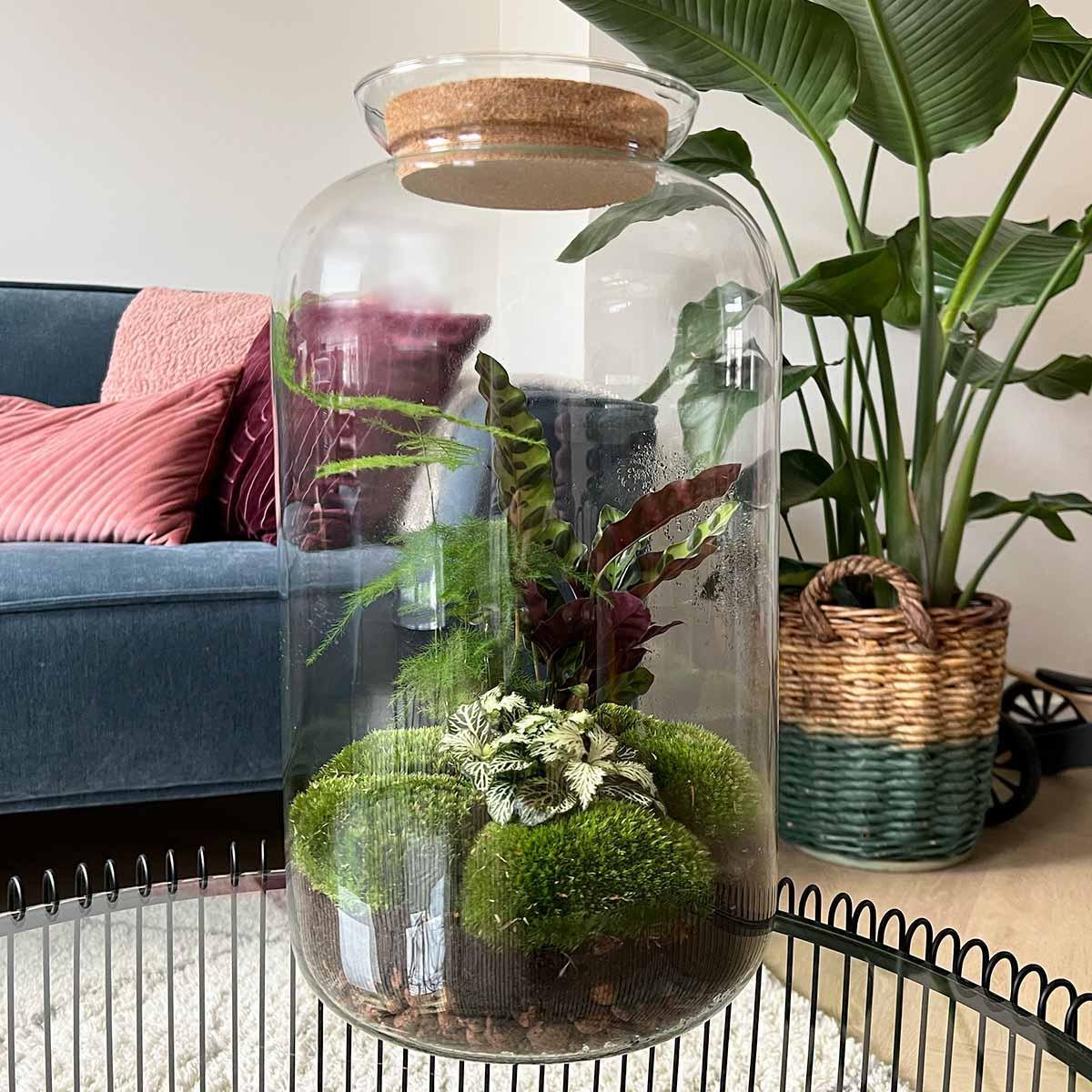 Flaschengarten – Botanical Sven XL – 43 cm – Rechen + Schaufel + Pinzette