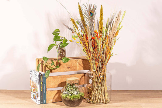 Trockenblumenstrauß – Colorful Nature – Trockenstrauß – 70 cm - Botanic-Vibes