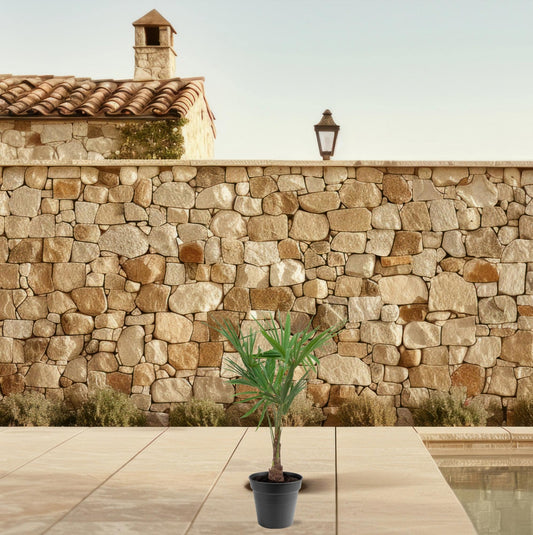 Trachycarpus fortunei – 90–100cm – Ø21 - Botanic-Vibes