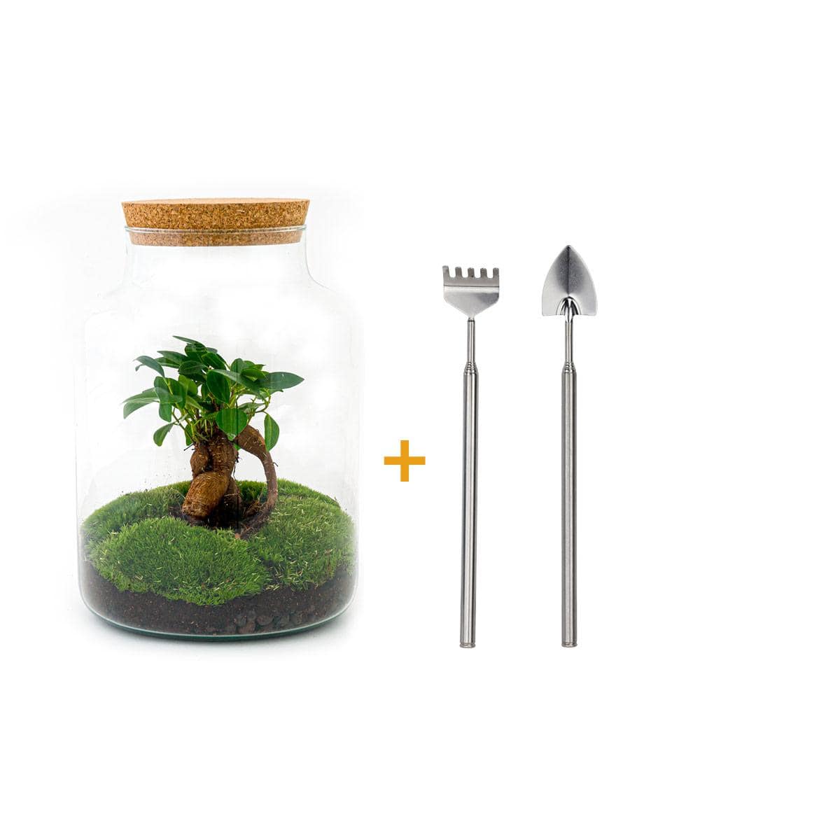 Flaschengarten – Milky mit Bonsai – 30 cm – Rechen + Schaufel - Botanic-Vibes