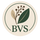Translation missing: de.Botanic-Vibes accessibility.home