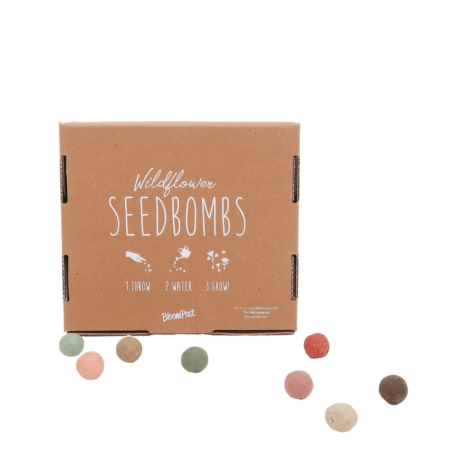 Flower bombs - Botanic-Vibes