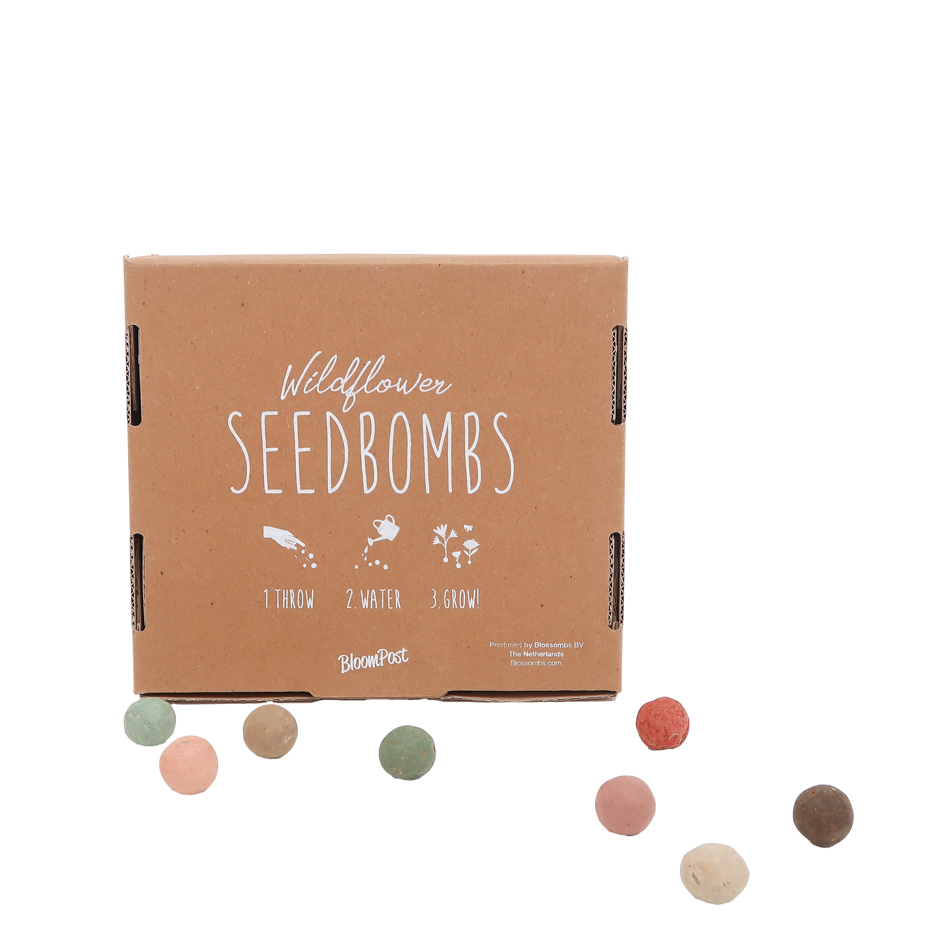 Flower bombs - Botanic-Vibes