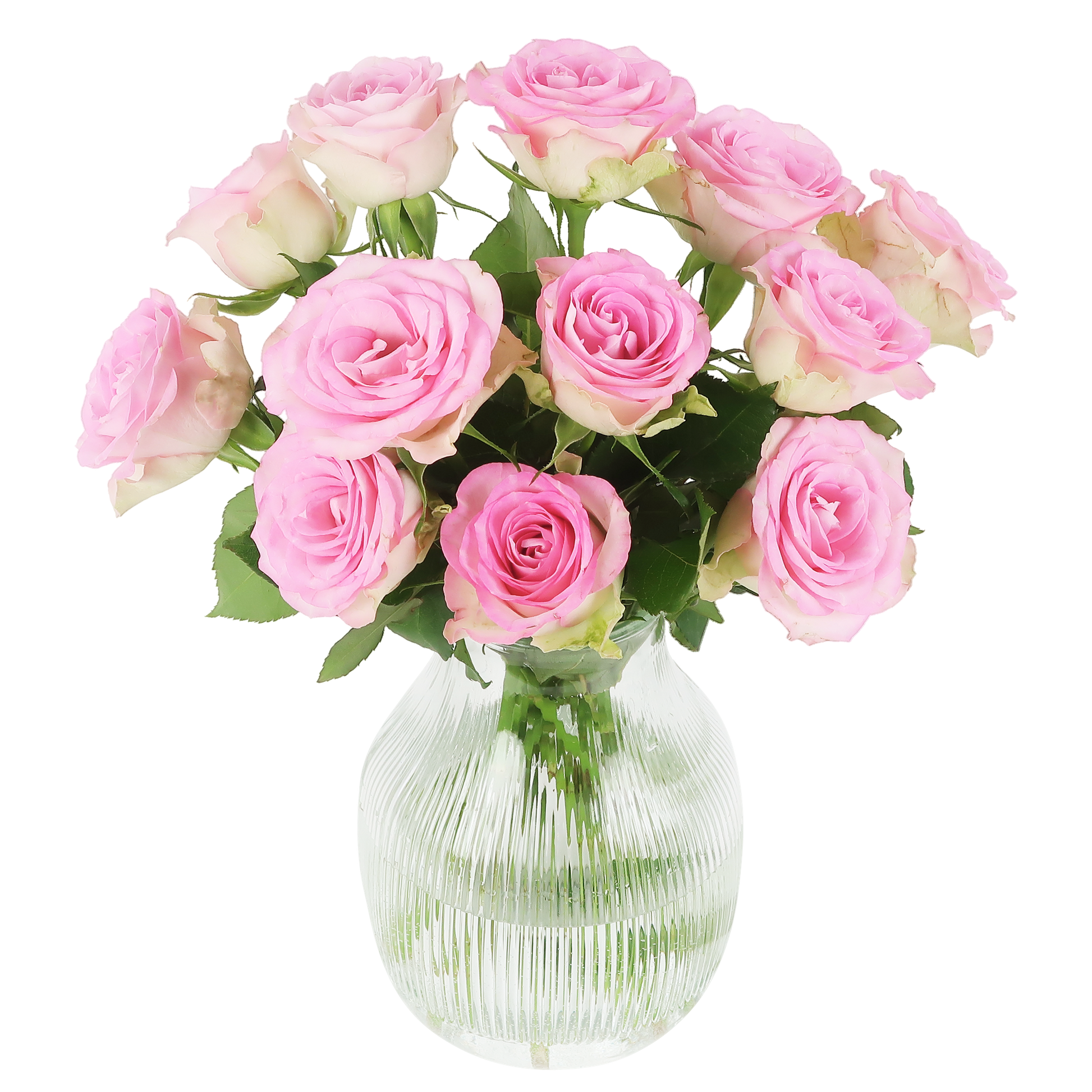 Süße rosen – rosa rosen im briefkastenpaket - Botanic-Vibes