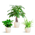Tierfreundliche Pflanzbox - klein - mit topf Viber White - Ø12 - Botanic-Vibes