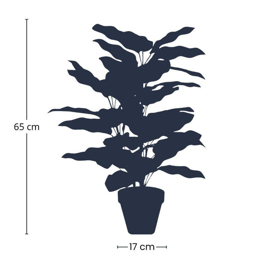 Calathea in pot - 65 cm hoog - Kunstplant - Botanic-Vibes