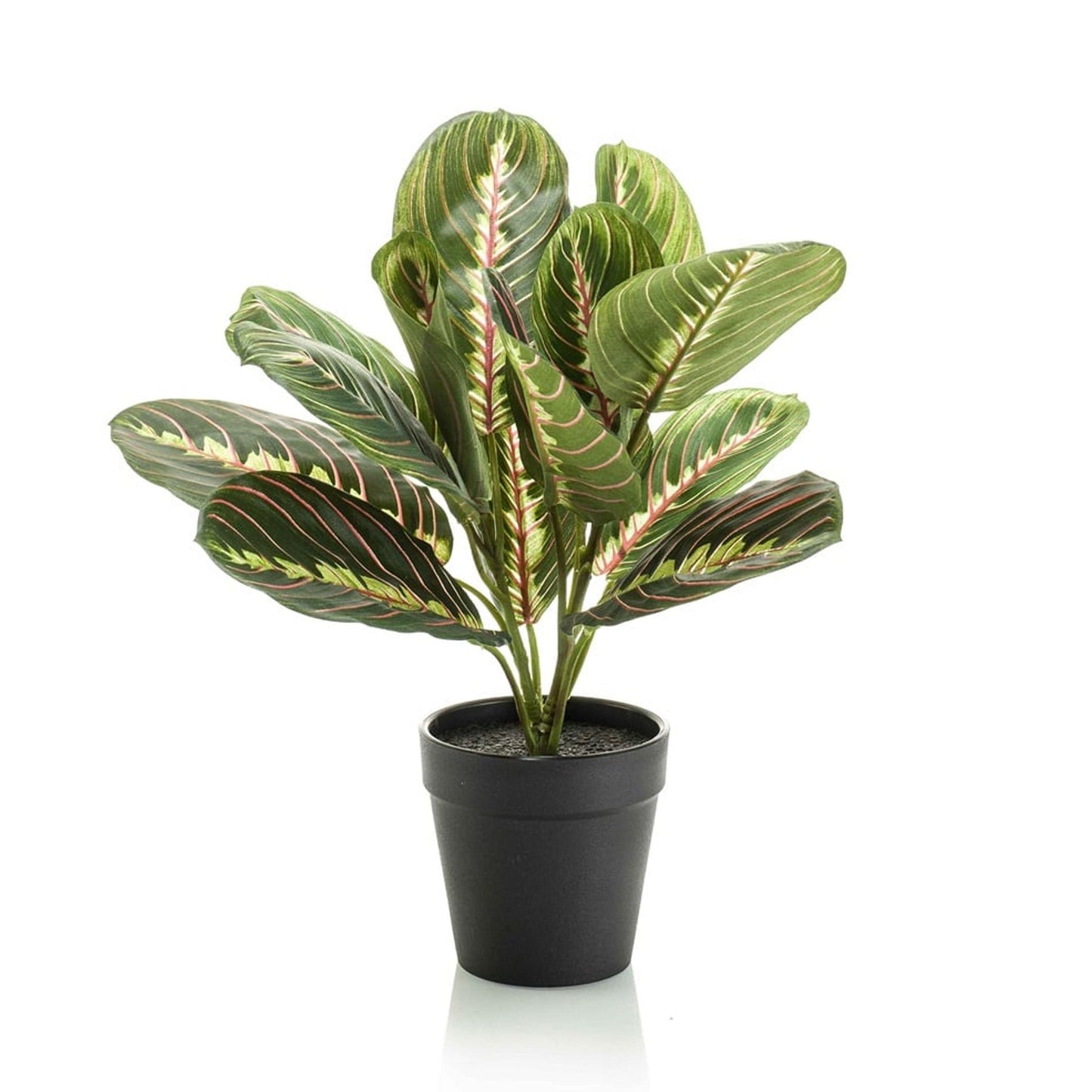 Maranta groen - 30cm - In zwarte pot - Kunstplant - Botanic-Vibes