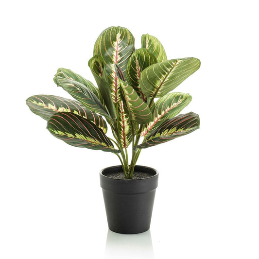 Maranta groen - 30cm - In zwarte pot - Kunstplant - Botanic-Vibes