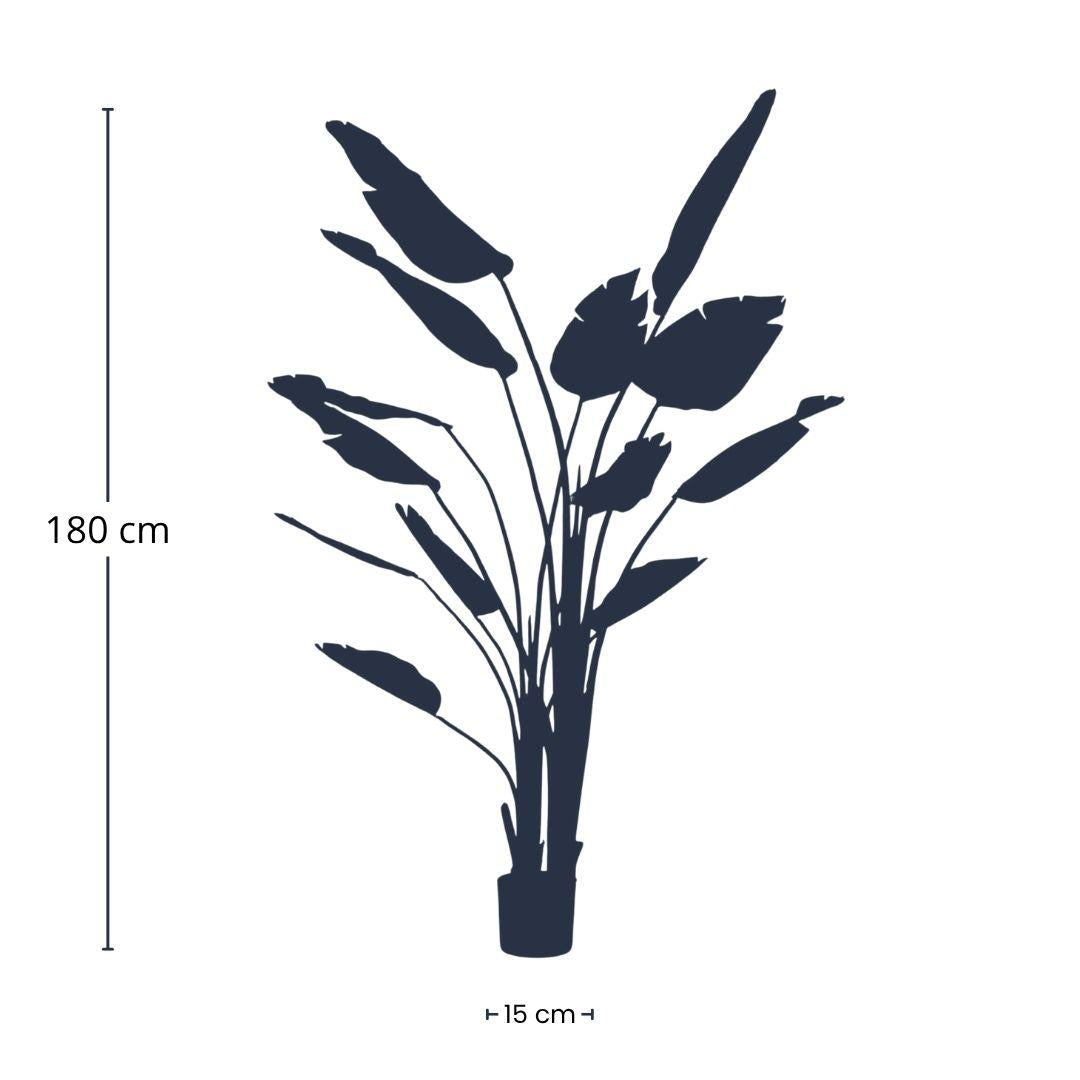 Strelitzia nicolai - 180 cm - In zwarte pot - Kunstplant - Botanic-Vibes