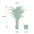 Areca mit Korb – 130 cm – Ø24 - Botanic-Vibes