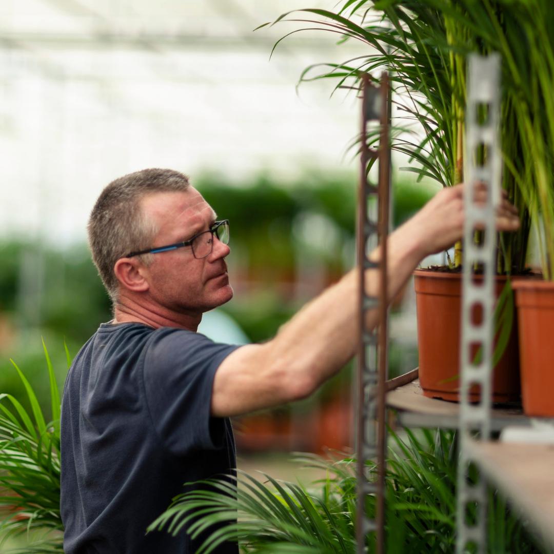 Yucca mit Korb – 100cm – Ø21cm - Botanic-Vibes