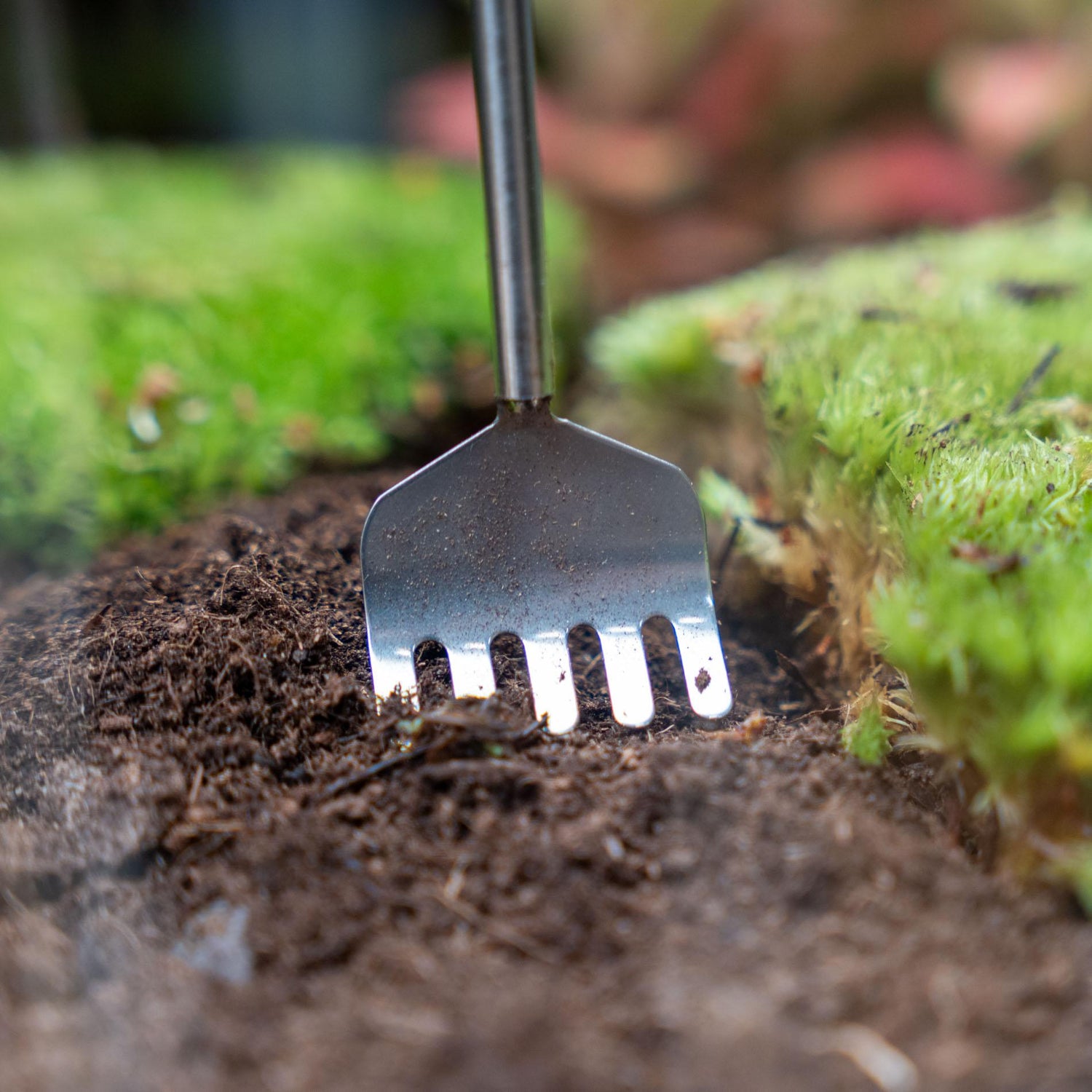 Flaschengarten-Werkzeug – Harke – 16–49 cm – Teleskop – Edelstahl - Terrarium Werkzeug - Botanic-Vibes
