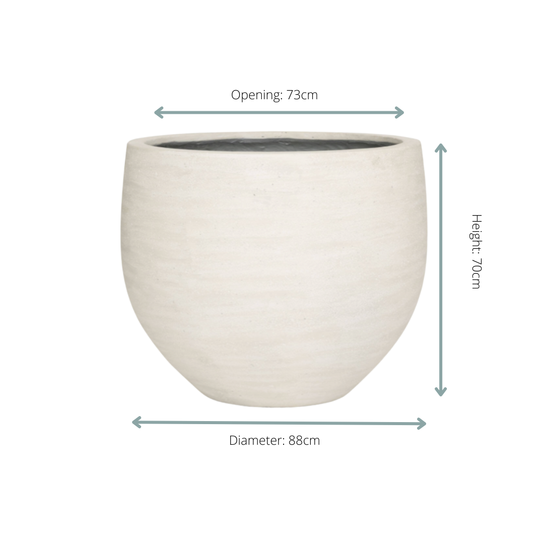 Jumbo Orb Ivory Washed - D88xH70 - Botanic-Vibes