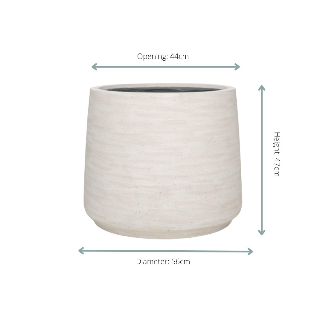 Jumbo Patt Ivory Washed - D56xH47 - Botanic-Vibes