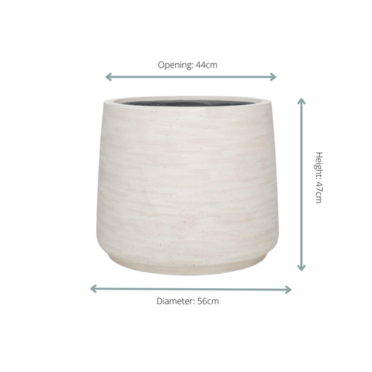 Jumbo Patt Ivory Washed - D56xH47 - Botanic-Vibes