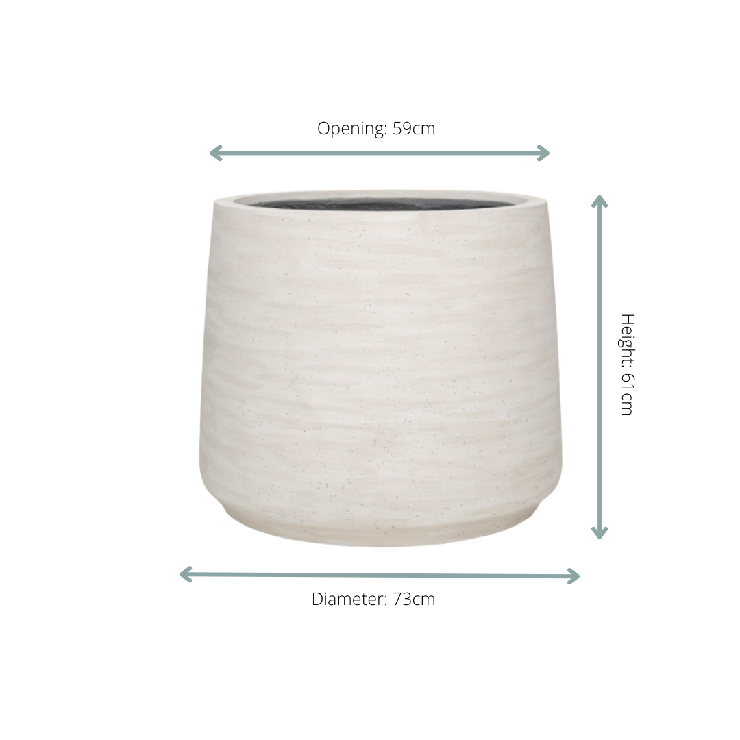 Jumbo Patt Ivory Washed - D73xH61 - Botanic-Vibes