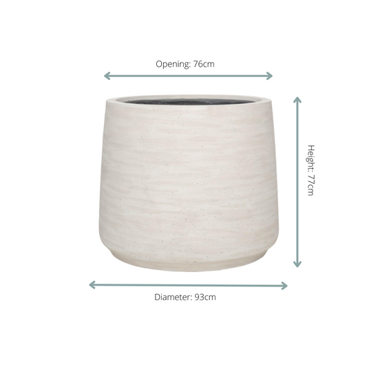 Jumbo Patt Ivory Washed - D93xH77 - Botanic-Vibes