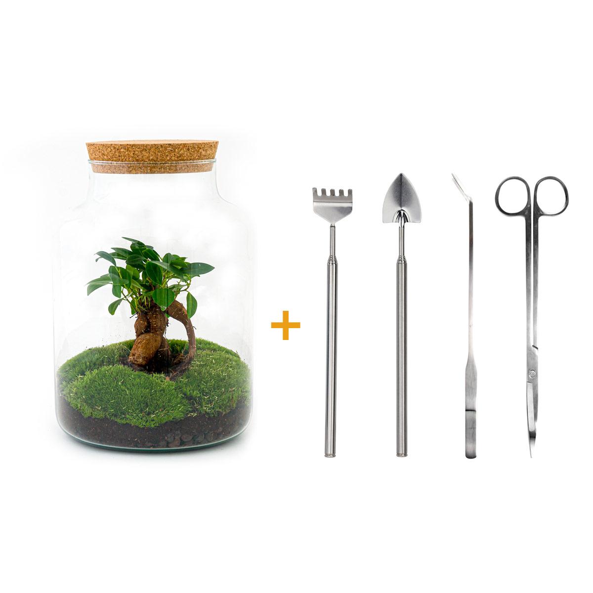 Flaschengarten – Milky mit Bonsai – 30 cm – Rechen + Schaufel + Pinzette + Schere