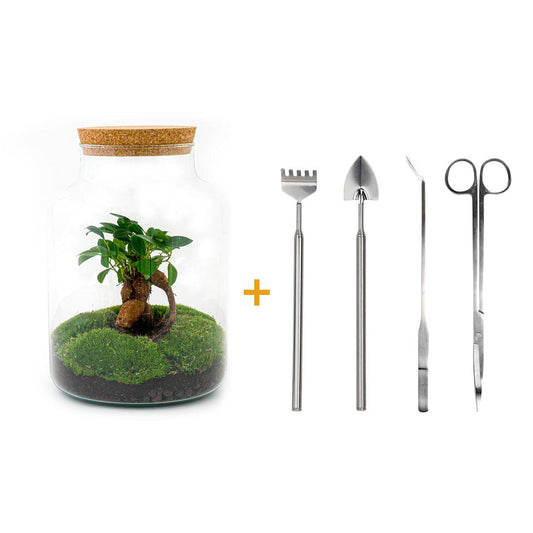 Flaschengarten – Milky mit Bonsai – 30 cm – Rechen + Schaufel + Pinzette + Schere