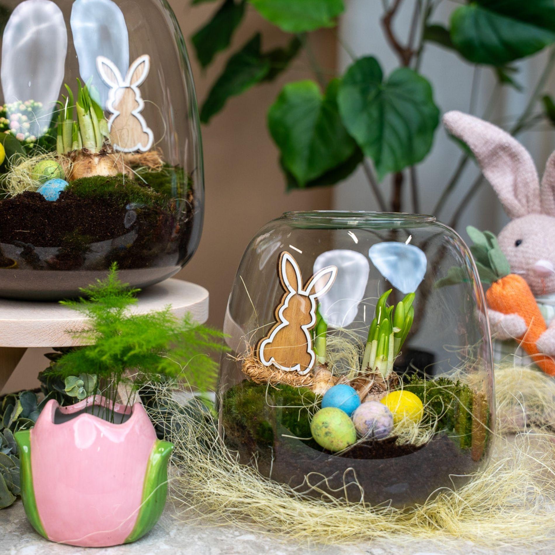 Offenes Terrarium, Emma Mini Oster, DIY-Set, Flaschengarten DIY-Set, Ø19 cm ↑ 20 cm