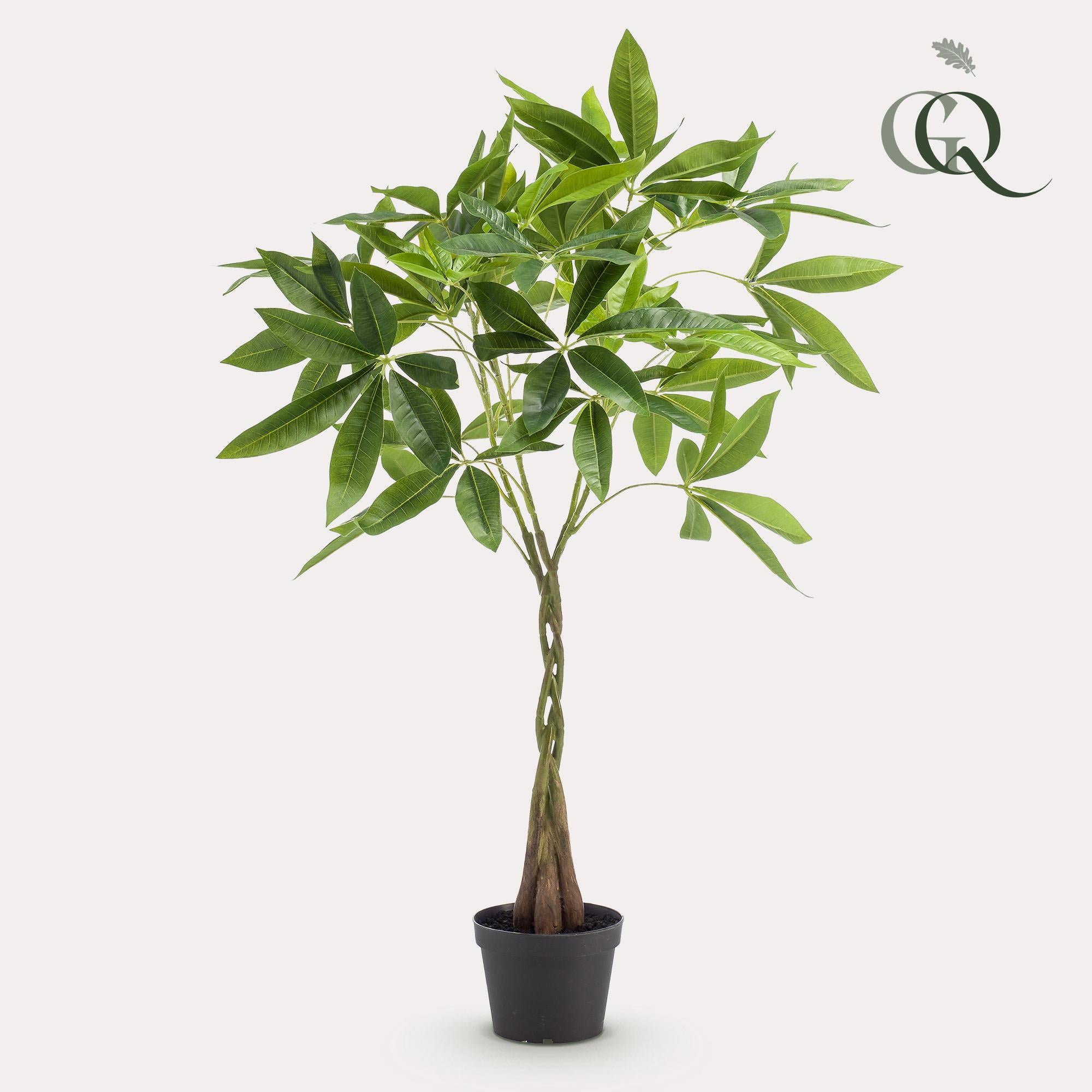 Kunstpflanze, Pachira aquatica, Geldboom, 90 cm