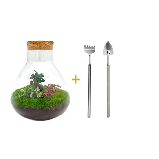 Flaschengarten – sam xl bonsai – 35 cm – Rechen + Schaufel
