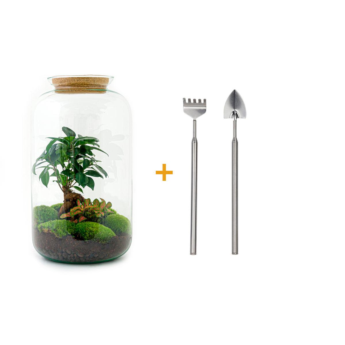 Flaschengarten – sven bonsai – 43 cm – Rechen + Schaufel