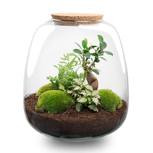 Pflanzterrarium „Emma“ – DIY-Set – 25 cm – Ø23 cm – Bonsai Pink + LED