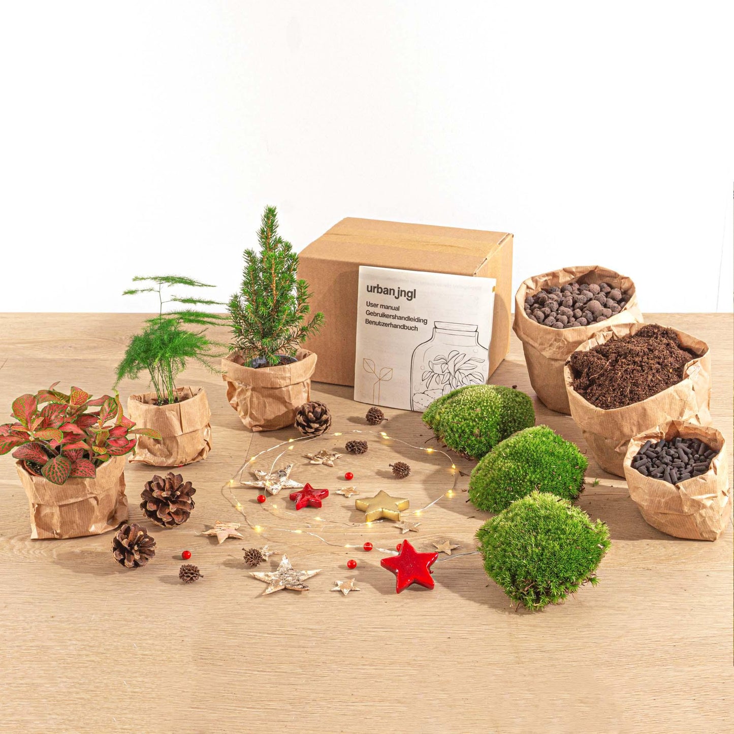 Terrarium-Set – Mini-Weihnachtsbaum – 3 Pflanzen – Nachfüllung & Starterset – DIY Weihnachten