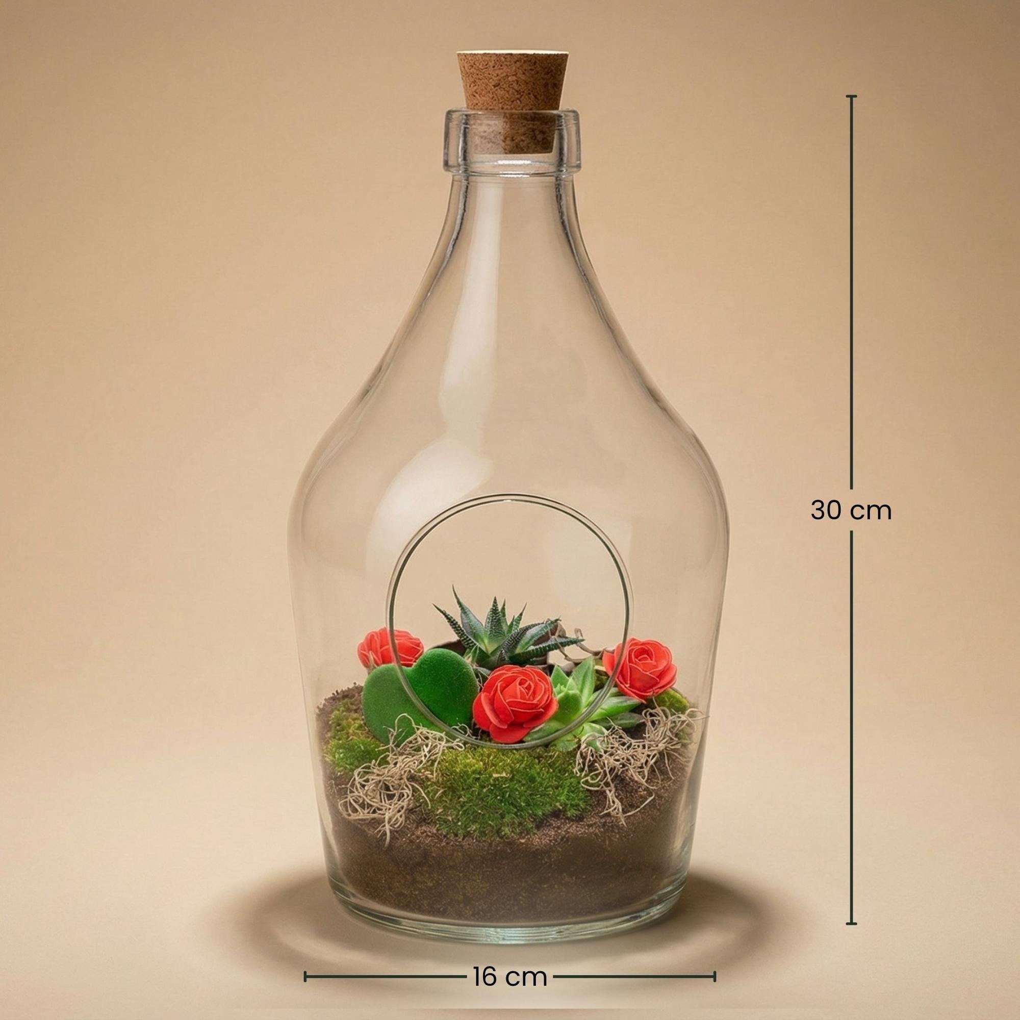 Pflanzenterrarium, Love in a Bottle, DIY-Set, DIY Open Pflanzenterrarium, Ø16 cm ↑ 30 cm