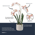Renanthera Orchidee rosa im Topf, 56 cm, Kunstpflanze