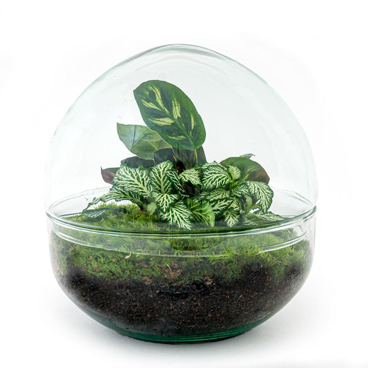 Flaschengarten – Dome – 20 cm – Rechen + Schaufel + Pinzette + Schere
