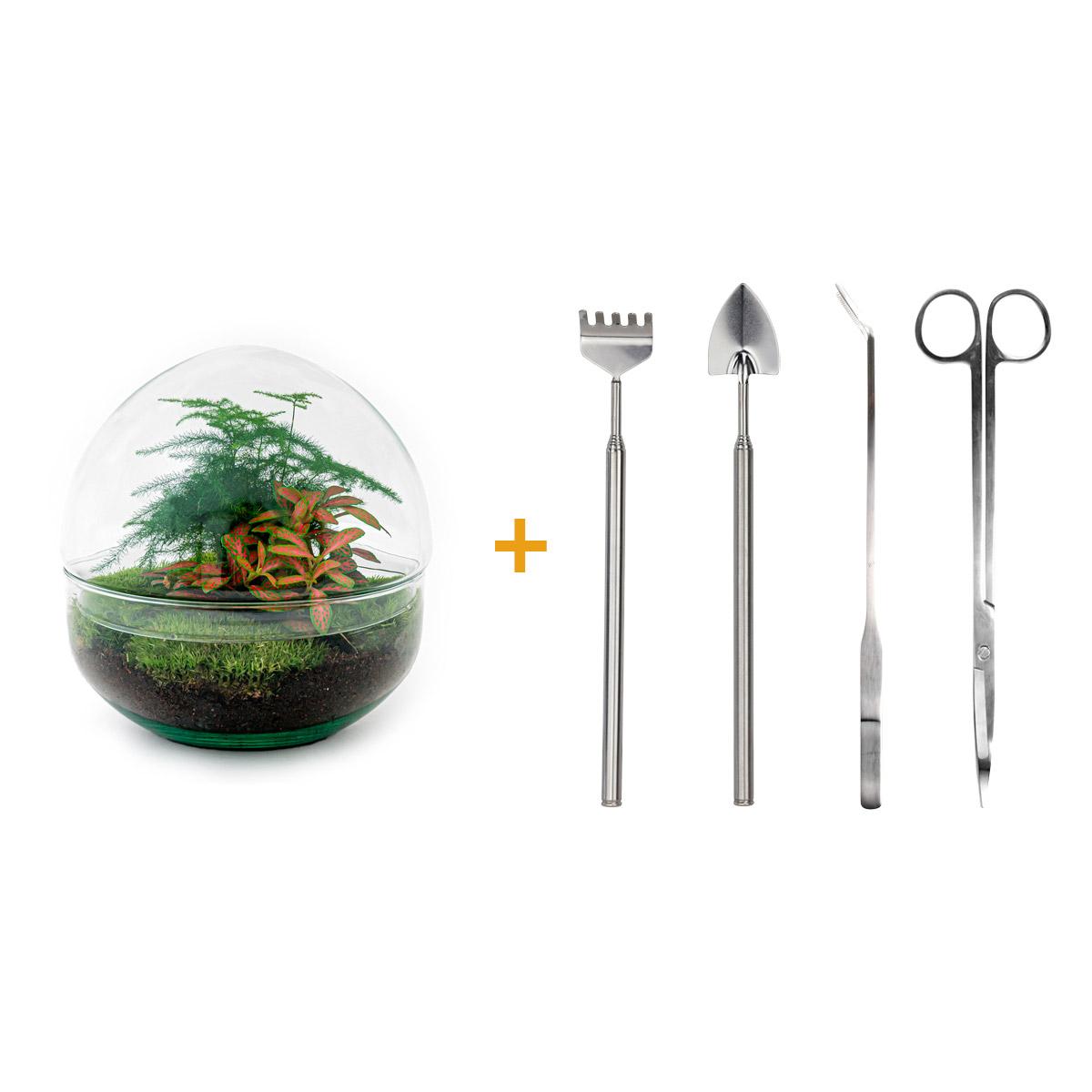 Flaschengarten – Dome Rot – 20 cm – Rechen + Schaufel + Pinzette + Schere