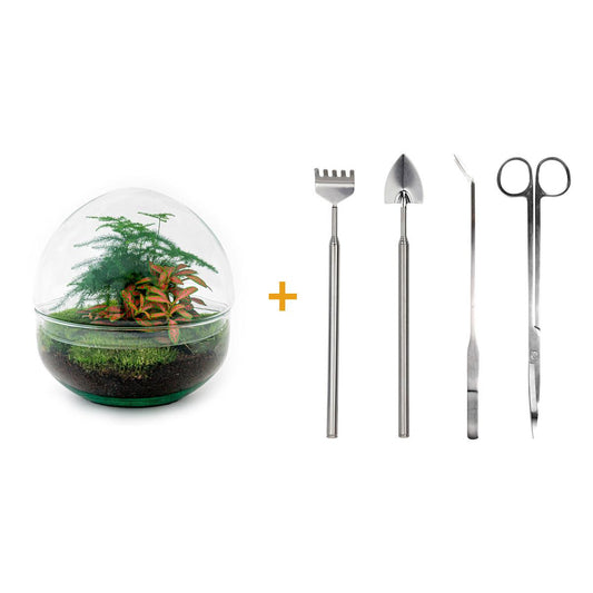 Flaschengarten – Dome Rot – 20 cm – Rechen + Schaufel + Pinzette + Schere